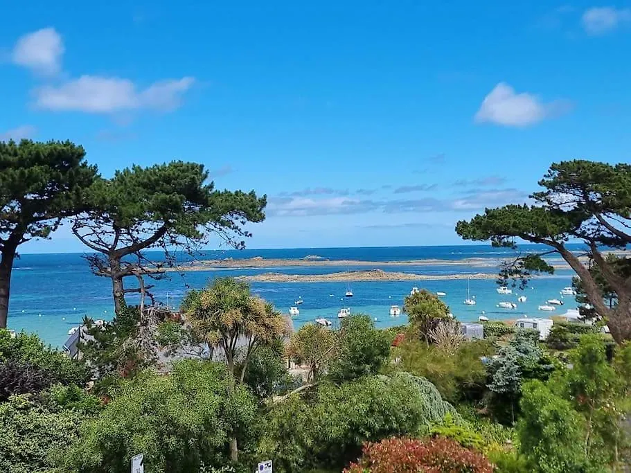 Maison Vue Mer A 100 M De L'Eau Trelevern 0*,  France